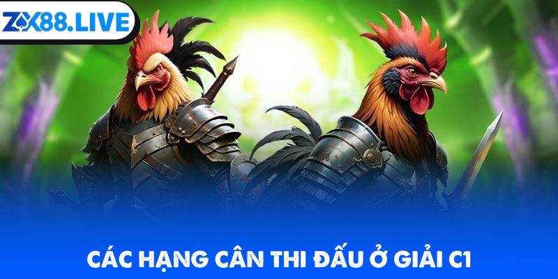 Các hạng cân thi đấu ở giải C1