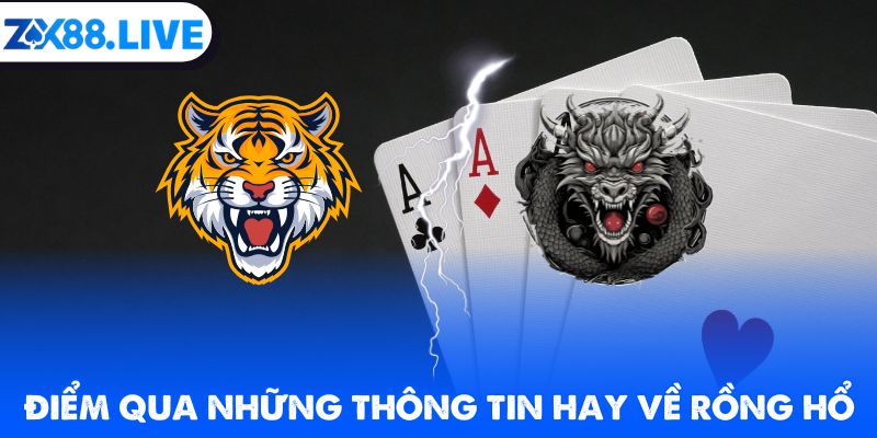 Điểm qua những thông tin hay về rồng hổ
