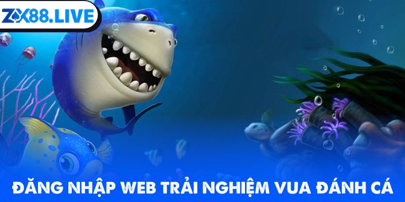 Đăng nhập web trải nghiệm vua đánh cá